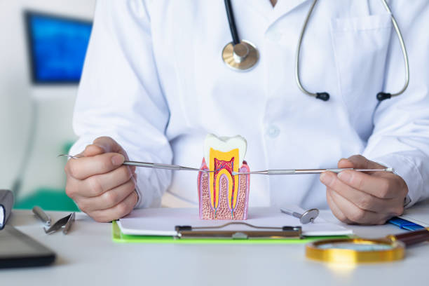 Best Walk-In Emergency Dental Services in Scottdale, PA